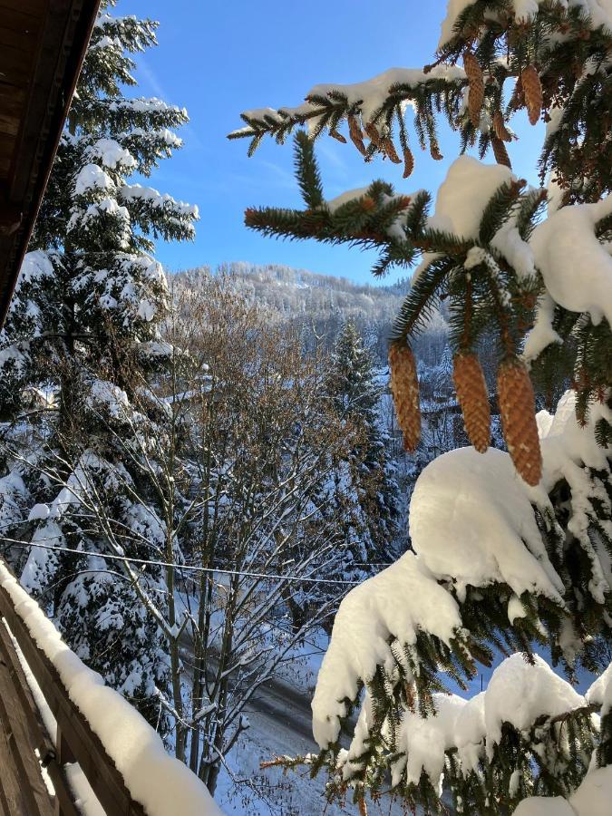 Niezapominajka Bed & Breakfast Szczyrk Dış mekan fotoğraf