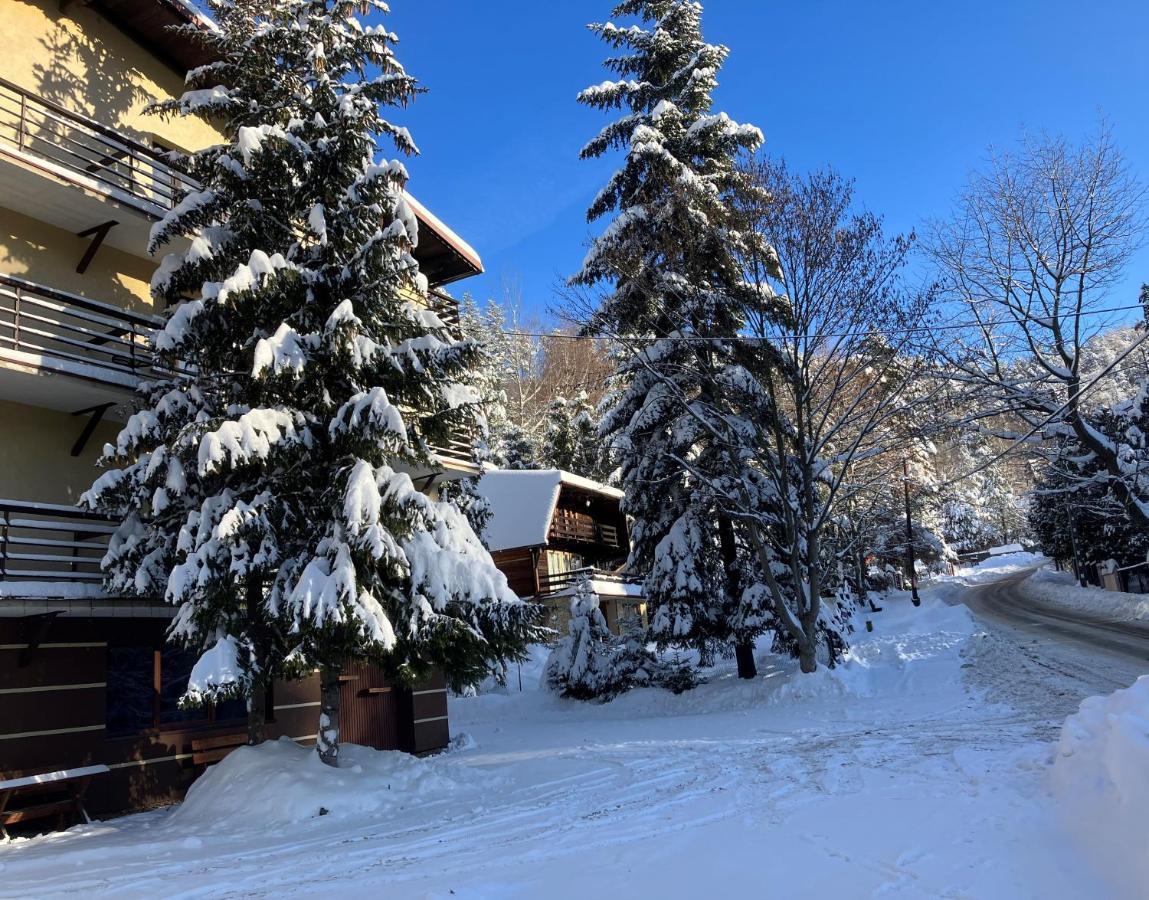 Niezapominajka Bed & Breakfast Szczyrk Dış mekan fotoğraf