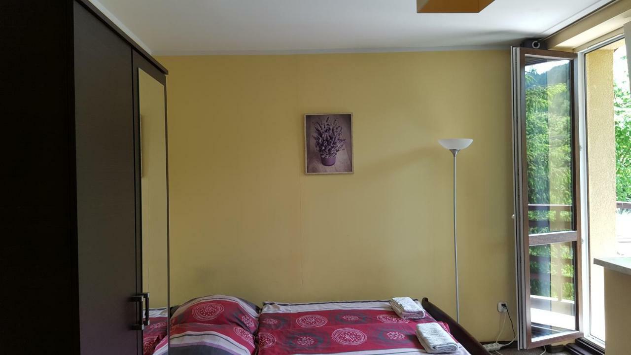 Niezapominajka Bed & Breakfast Szczyrk Dış mekan fotoğraf