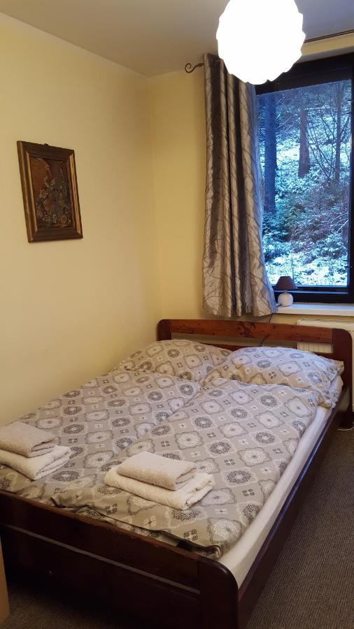 Niezapominajka Bed & Breakfast Szczyrk Dış mekan fotoğraf