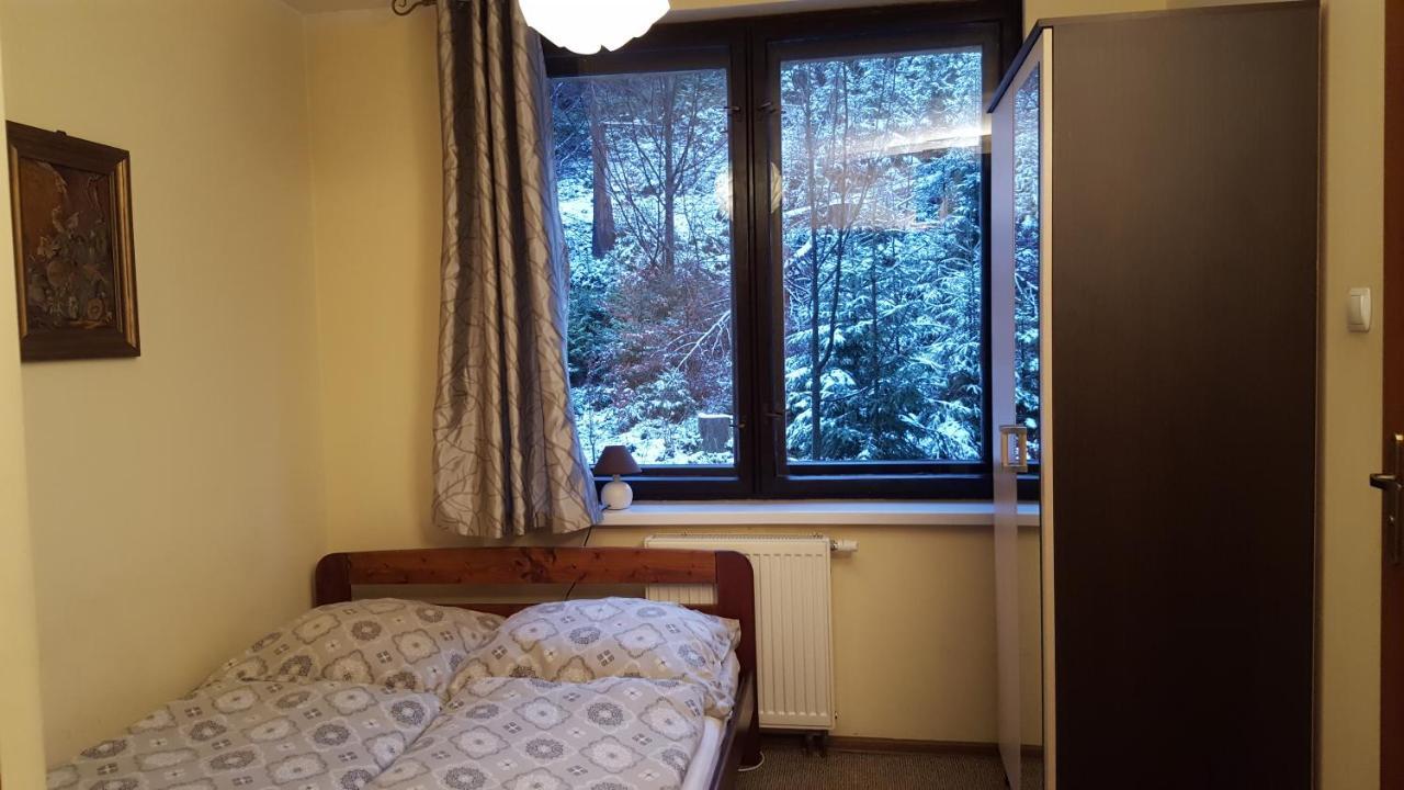 Niezapominajka Bed & Breakfast Szczyrk Dış mekan fotoğraf