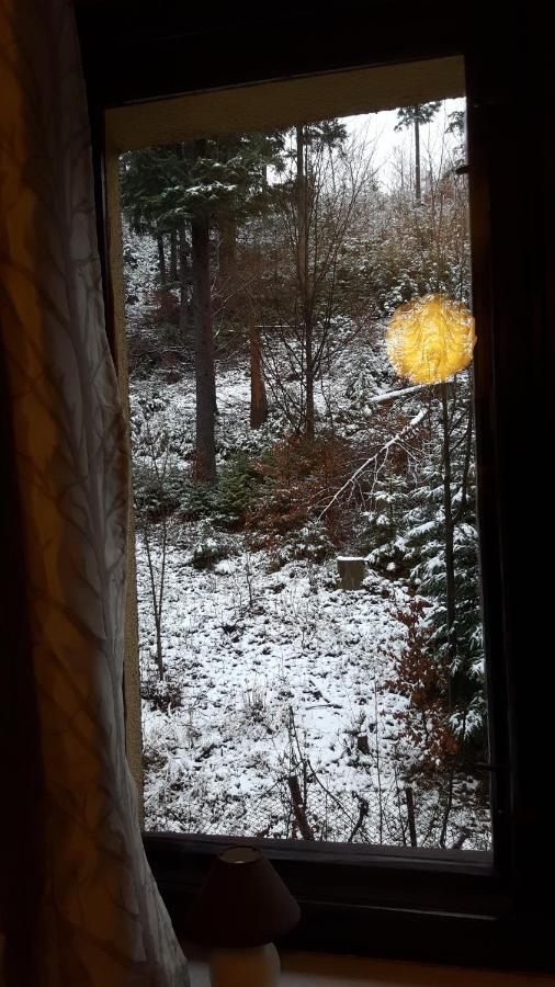 Niezapominajka Bed & Breakfast Szczyrk Dış mekan fotoğraf